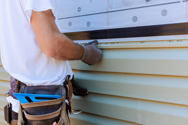 Affordable Vinyl Siding solutions in Bridgeport, IL